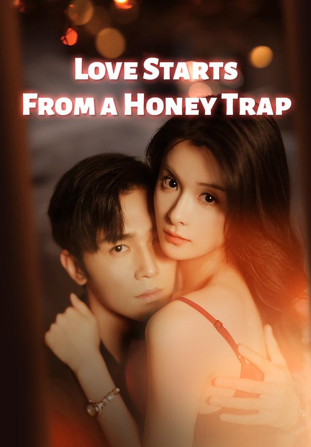 Love Starts From a Honey Trap